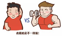 借助人體成分分析儀，開啟針對性身材管理之旅